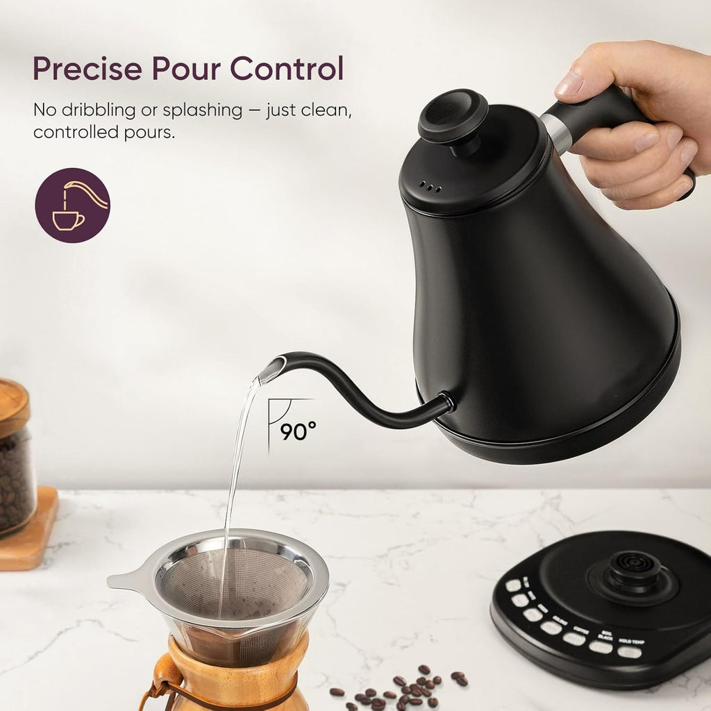 Electric Gooseneck Kettle with Temperature Control