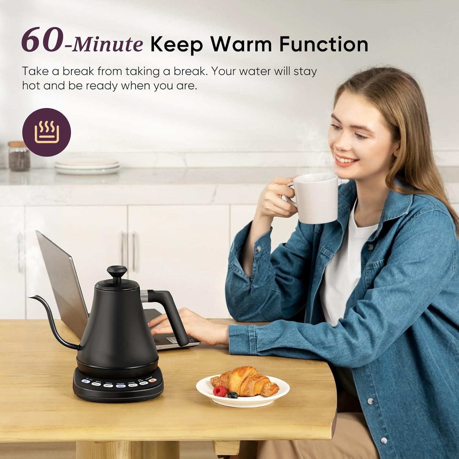 Electric Gooseneck Kettle with Temperature Control